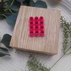 Op de afbeelding: Een roze plastic mal met 16 ronde uitsparingen, gerangschikt in een 4x4 raster. De mal ligt op een houten oppervlak.