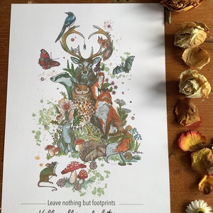 A4 numbered print. On recycled card stock hand signed. Animals of the uk
