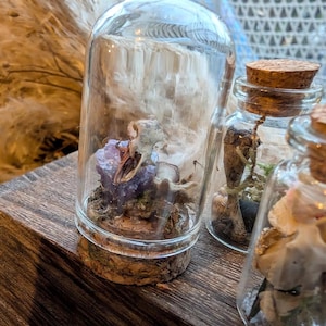 May include: A glass cloche dome with a cork base containing a small animal skull resting on a purple amethyst crystal and moss. Next to it are two smaller glass jars with cork stoppers, one holding a dried plant stem and the other white petals.