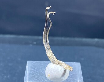 Native Silver - Kongsberg Silver Mining District, Buskerud, Norway