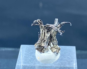 Native Silver - Kongsberg Silver Mining District, Buskerud, Norway