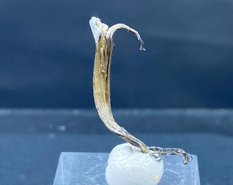 Native Silver - Kongsberg Silver Mining District, Buskerud, Norway