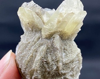 Gypsum Rosette w Duckbills - Bajna, Hungary