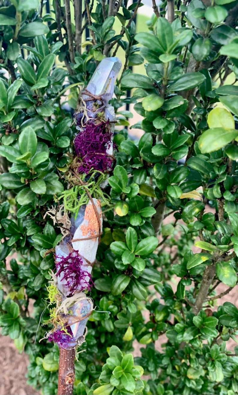 May include: A crystal wand wrapped in twine and adorned with moss, purple lichen, and a clear crystal point.