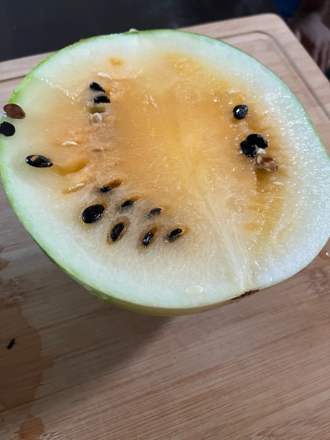 50+ Orangeglo Watermelon Seeds – Large, Sweet, 20-30 Lbs, NON-GMO – USA