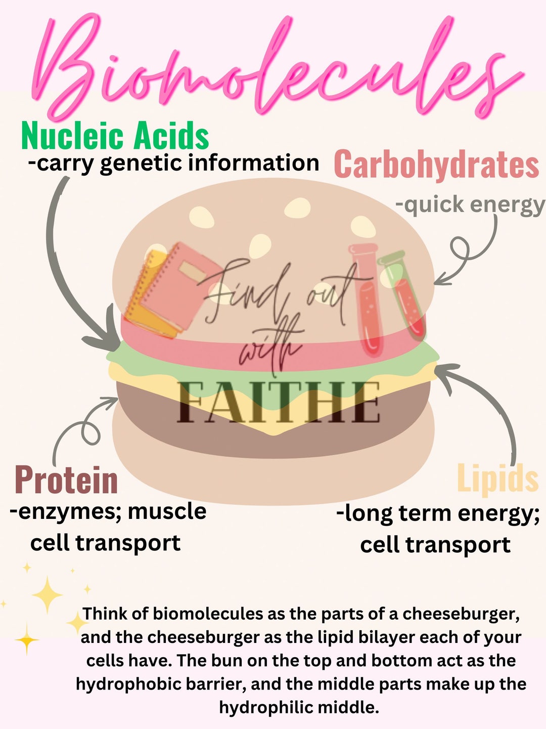 Biomolecules Anchor Chart Etsy