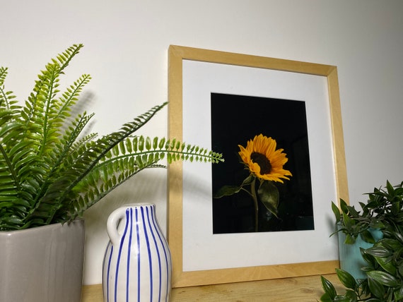 Limited Edition Sunflower No. 2 Print - Etsy