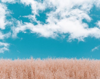 Colinas de Malibú, descarga instantánea de hierba y cielo, impresión de bellas artes, impresión de arte grande, decoración del hogar, fotografía original, impresión de paisajes