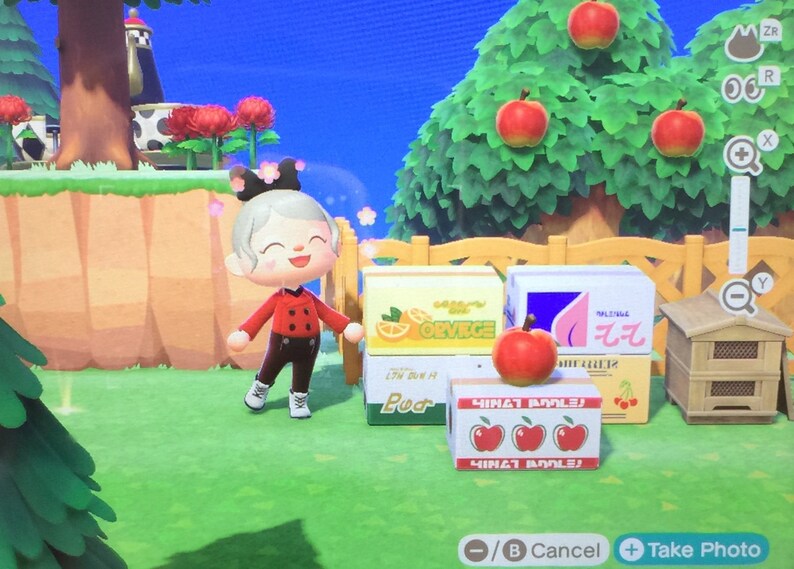 Animal Crossing Fruit cardboard box complete set Etsy