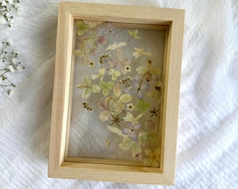 Pressed Flowers in Wood Floating Frame / Pressed Flower Art / Real Pressed Flowers / Pressed Flower Wall Decor / Abstract / Whimsical