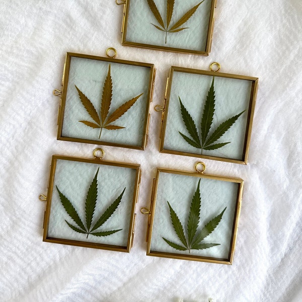 Real Pressed Cannabis Hemp Leaf Pressed Flower Ornament / Real Pressed Plant / Pressed Marijuana Leaf / Weed Leaf