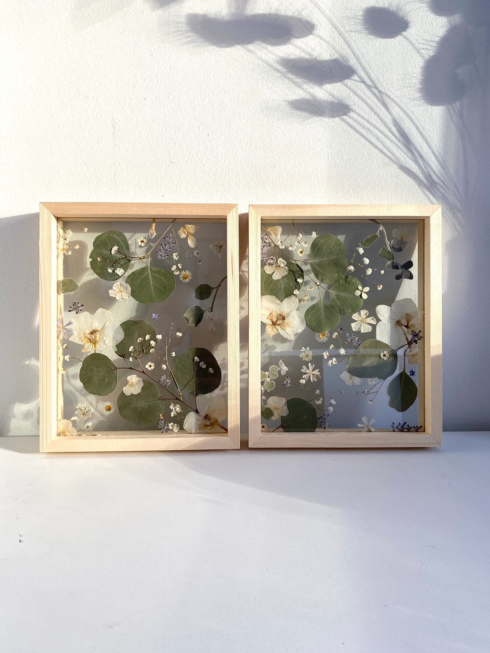 Set of Pressed Flower Floating Wood Frames / Pressed Flower Art / Real