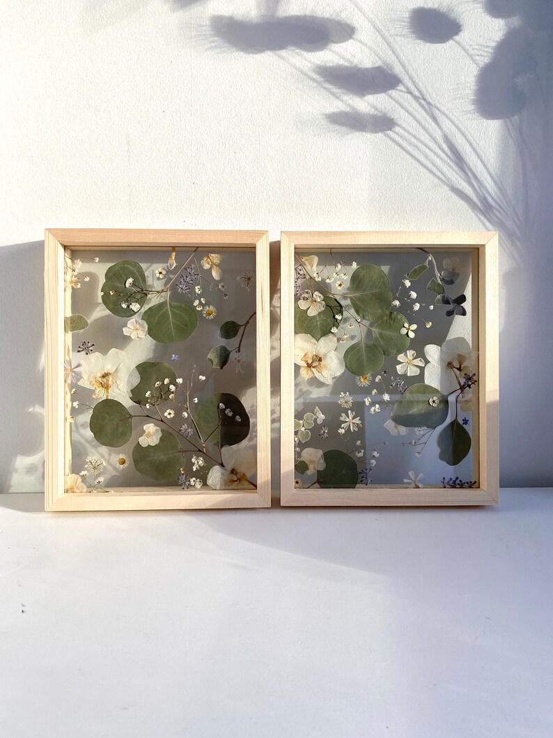 Set of Pressed Flower Floating Wood Frames / Pressed Flower Art / Real