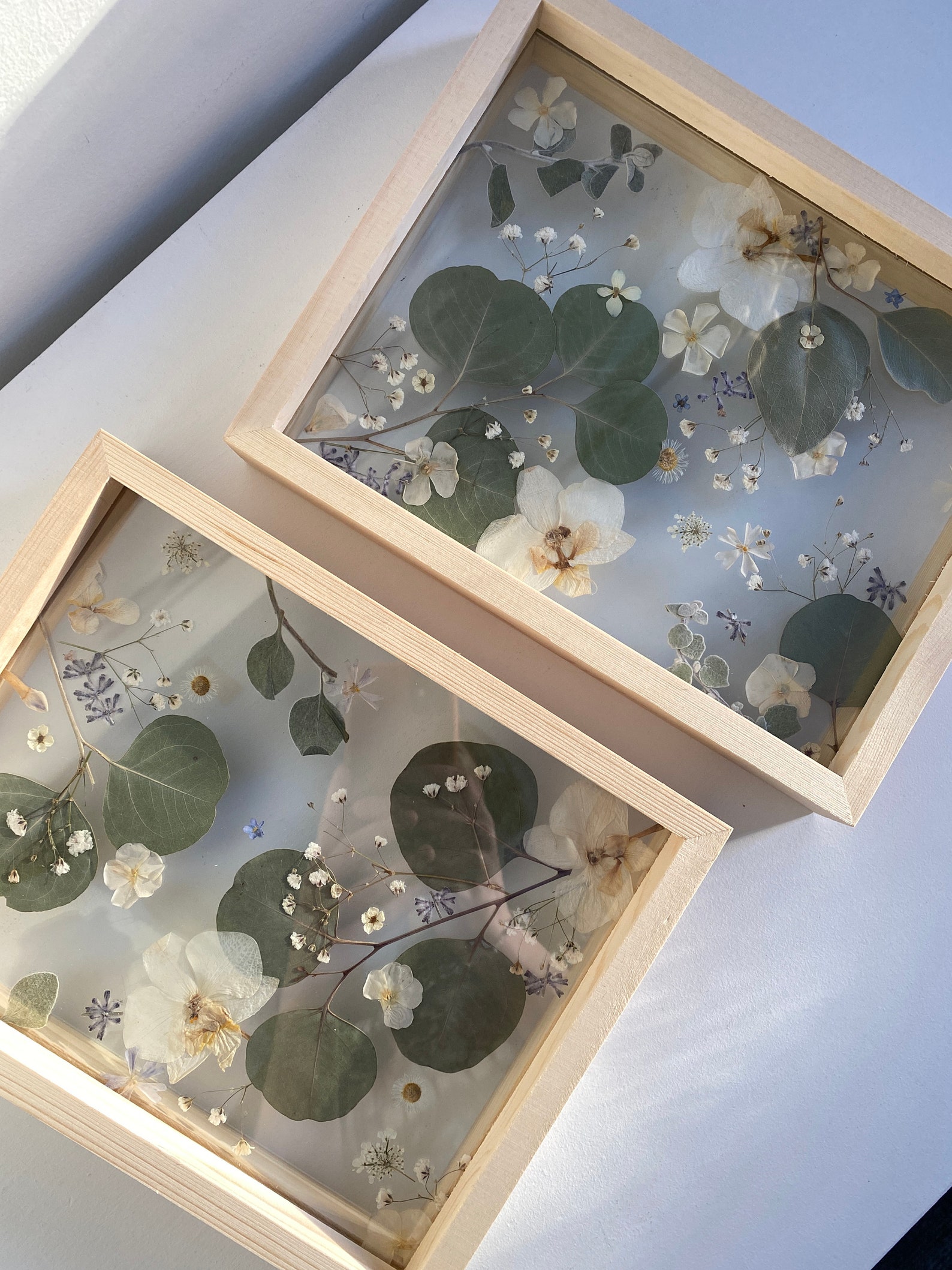 Set of Pressed Flower Floating Wood Frames / Pressed Flower Art / Real