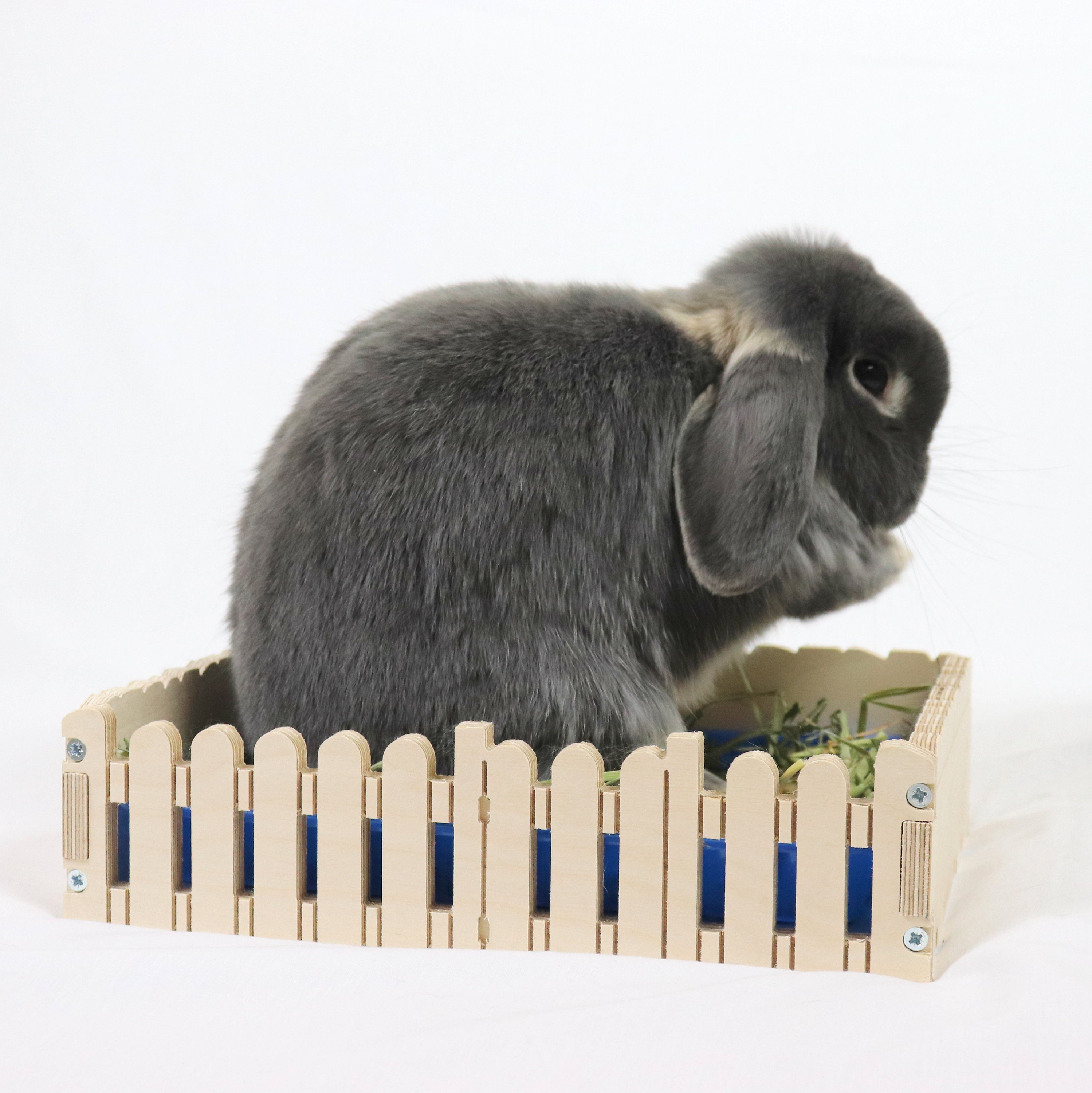 Fabulous 'Forage Garden' forage box for rabbits Etsy