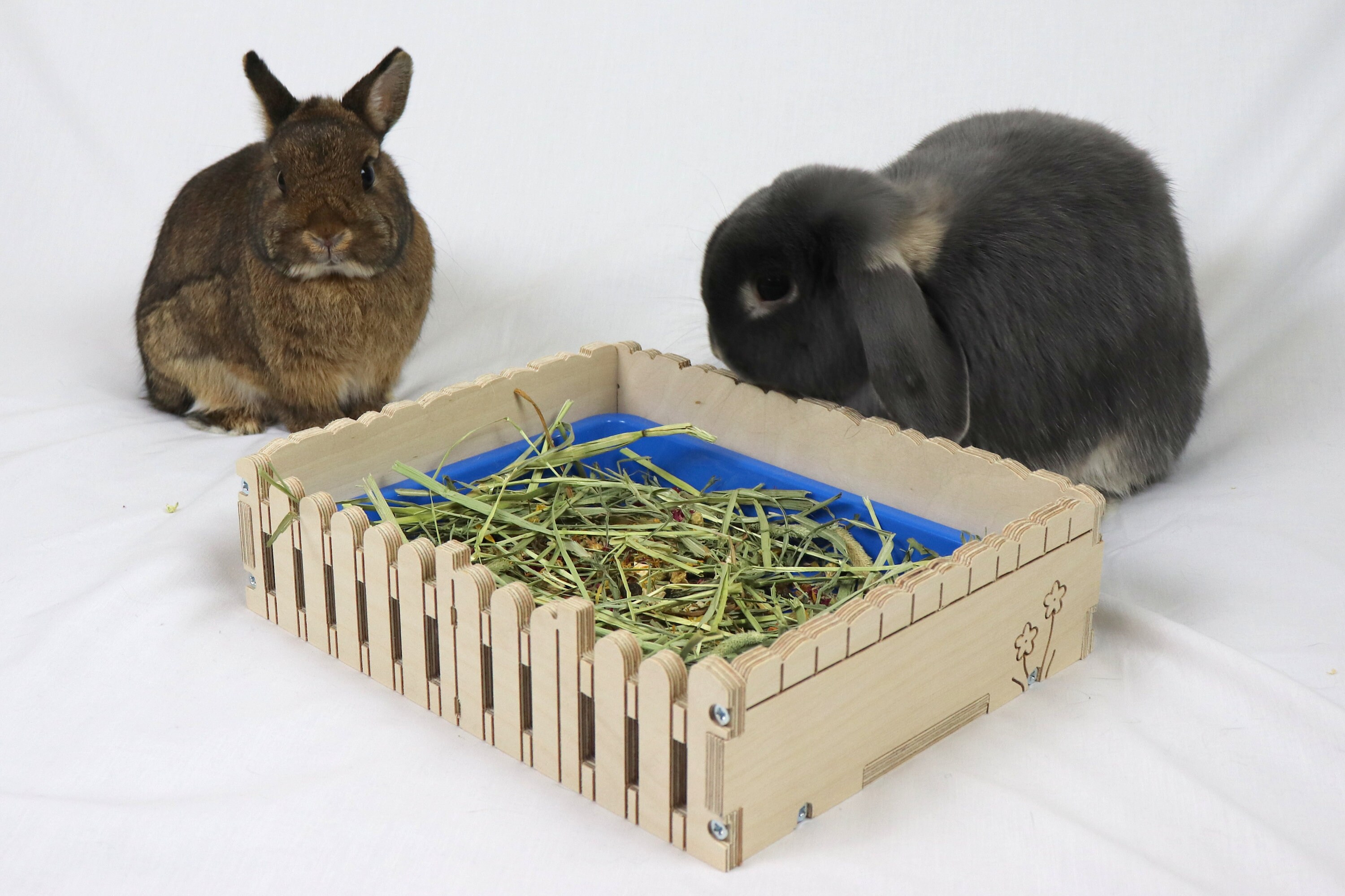 Fabulous 'Forage Garden' forage box for rabbits Etsy