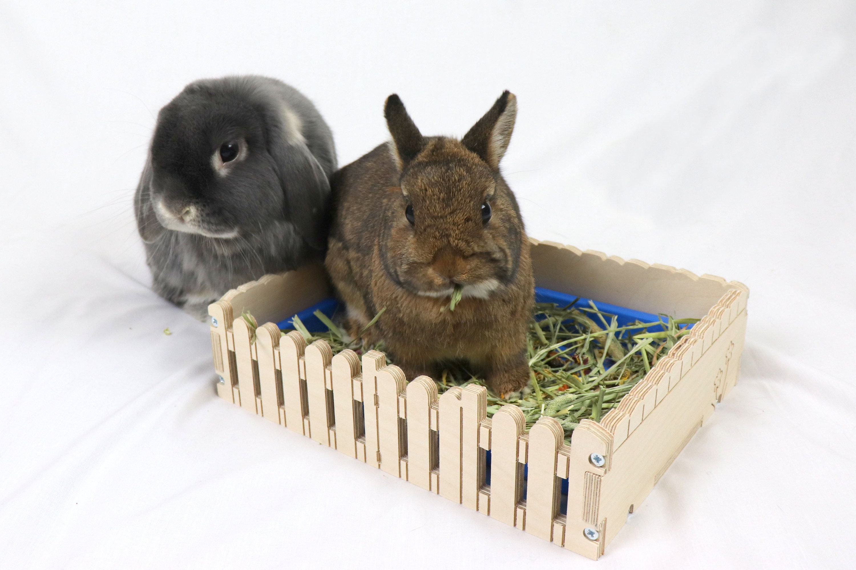 Fabulous 'Forage Garden' forage box for rabbits Etsy