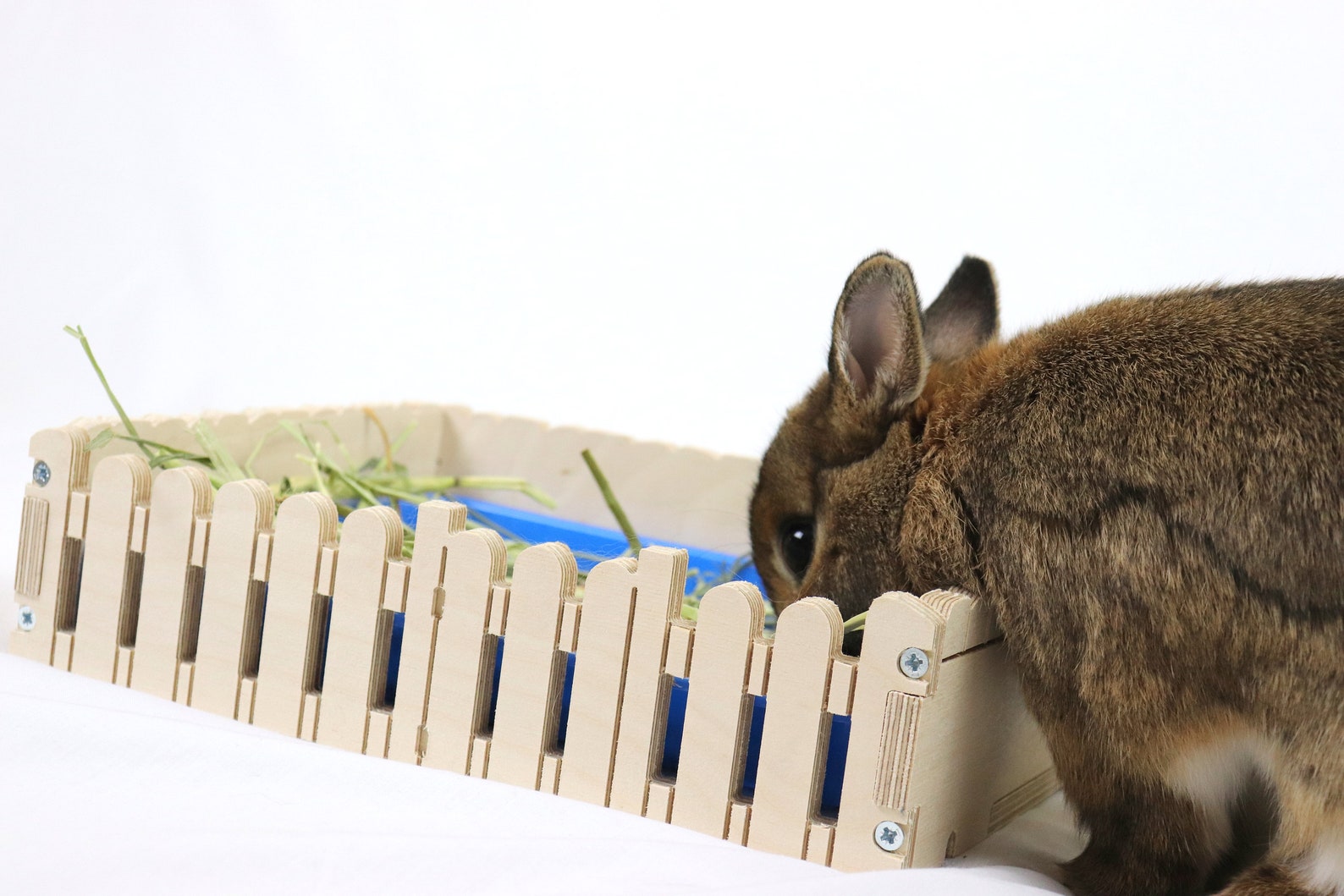Fabulous 'Forage Garden' forage box for rabbits Etsy