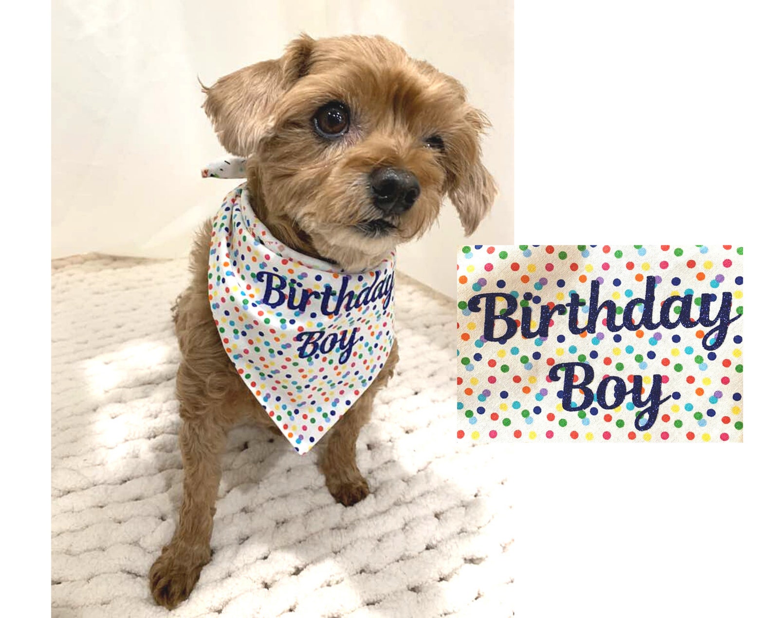 Happy Birthday Dog Bandana/Birthday Girl Dog Bandana Etsy