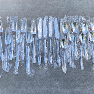 May include: A set of 18 silver-plated cutlery pieces, including forks, knives, and spoons, individually packaged in plastic. The cutlery is arranged in rows, with the forks on the left, the knives in the middle, and the spoons on the right.