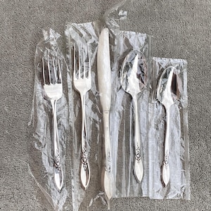 Oneida Spring Rose community stainless steel flatware ONE- 5 pc place setting(multiple sets available)