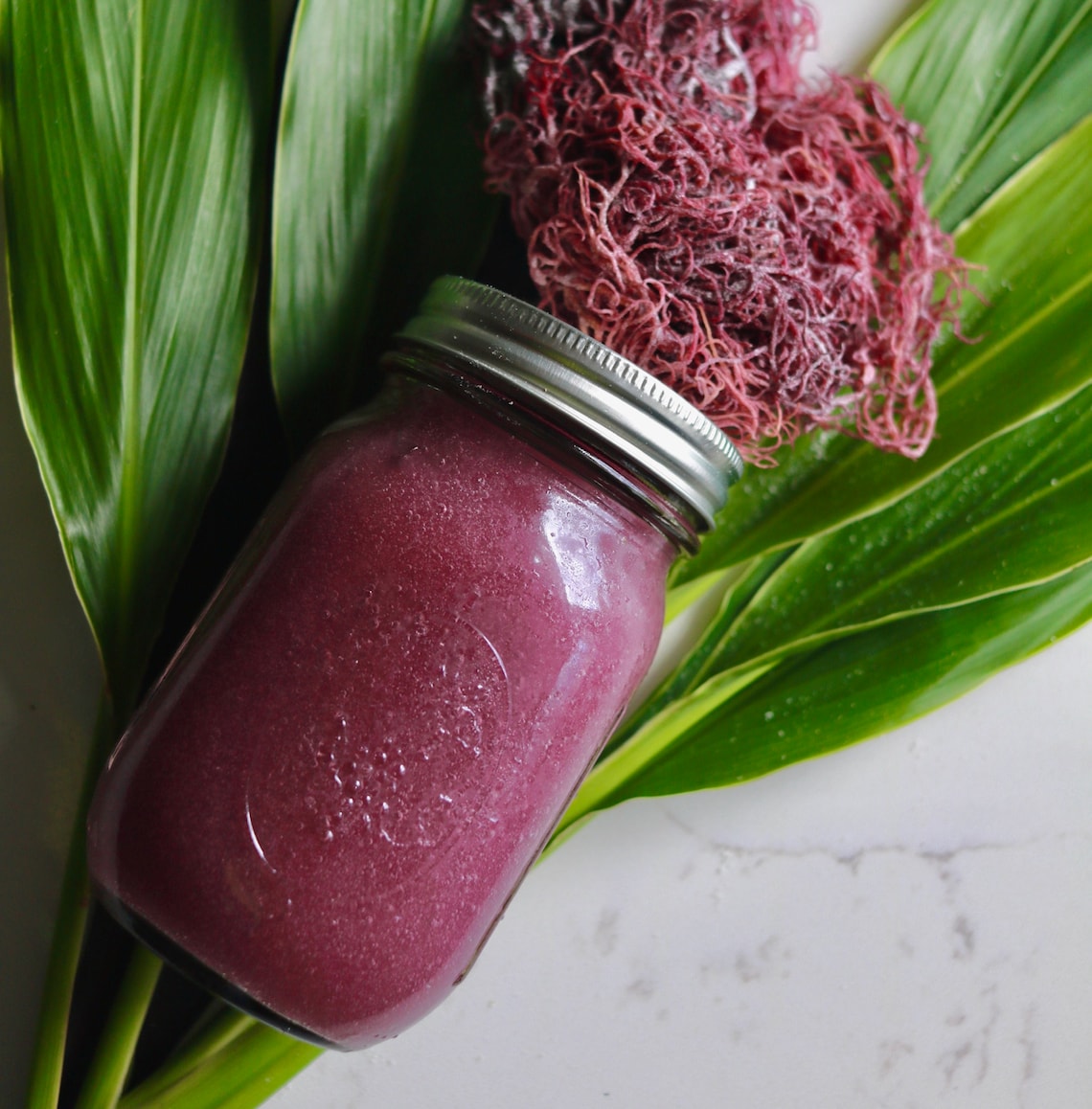 ST. LUCIA PURPLE Sea Moss Gel Dr. Sebi Inspired Etsy