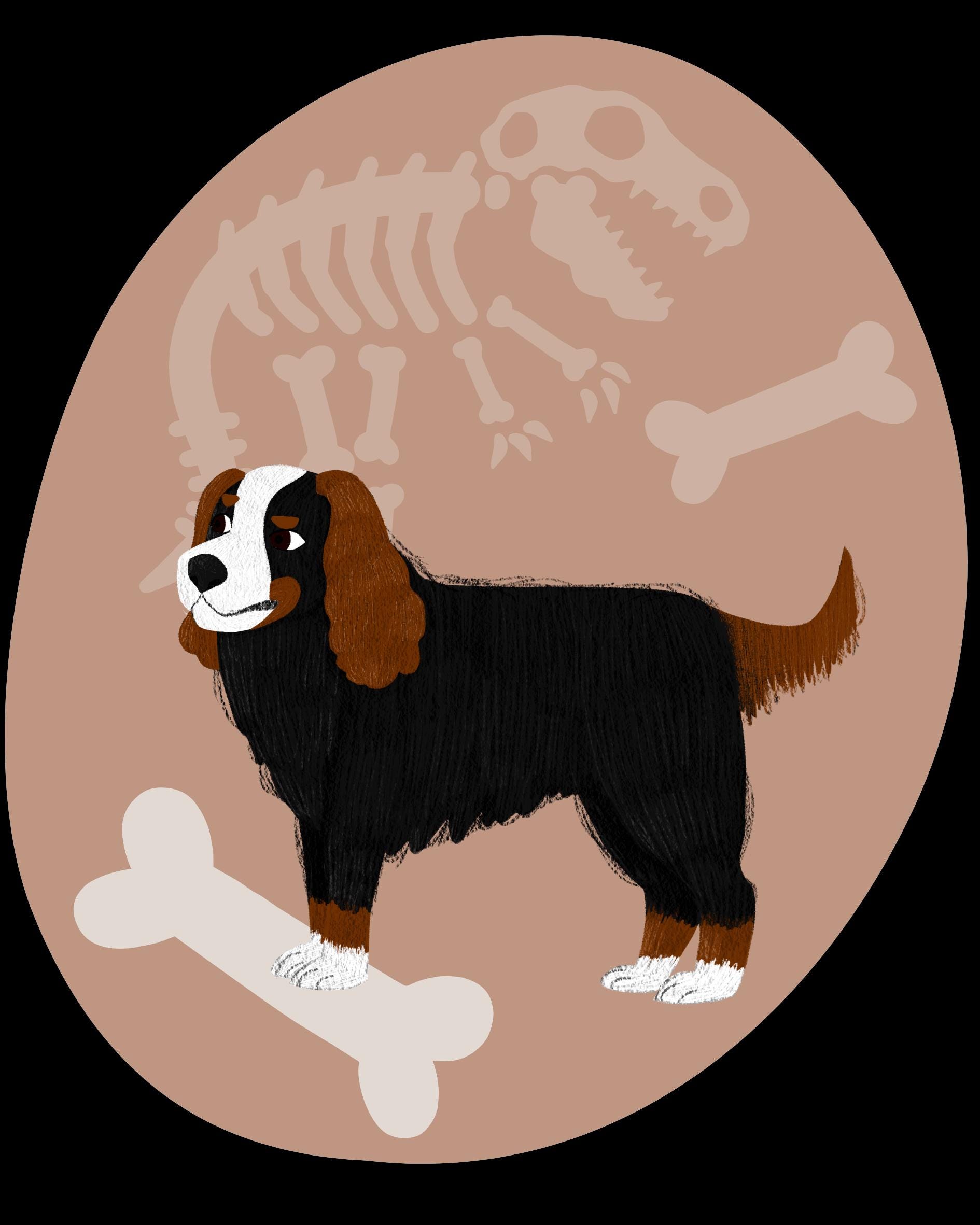 The Case of the Bone Bandit | Printable Mystery Game for Kids | Dinosaur Activities