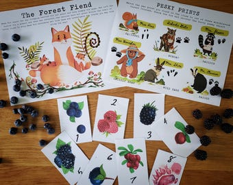The Forest Fiend Mini Mystery - Printable Kids Worksheets and Montessori Activities | Educational Clue Hunt and Teaching Resources