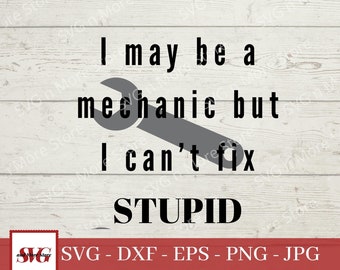 I may be a Mechanic but I can't fix Stupid