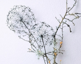 Allium aus Draht/Dekorationsobjekt/Drahtkunst/langlebig/Boho-Wandkunst/Drahtobjekt/Drahtblume/wire flower/Lineart/nachhaltig