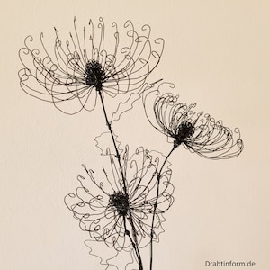 Chrysanthemum/wire flowers/decorative object/beautiful home/durable/boho wall decoration/wire flower/line art/sustainable/dried flowers
