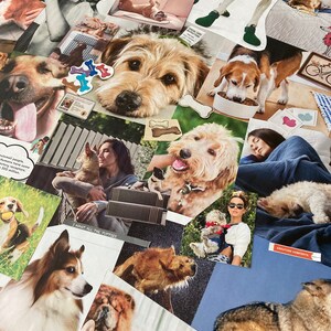 Dogs 1: 125+ Piece Curated Collage Collection
