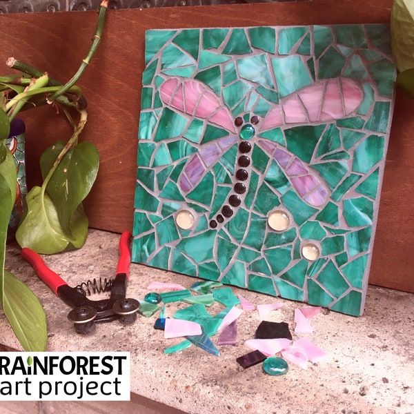 Dragonfly DIY Mosaic Kit