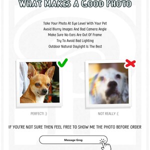 Gentleman Pet Portrait Wall Art, Custom Dog Portrait with top hat, Personalized Dog Art, Royal Portrait from Photo Pet Memorial Art Gift afbeelding 10