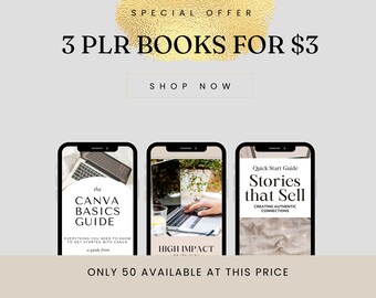 3 libros PLR editables, el paquete de riqueza más vendido, productos digitales PLR, MRR, DFY, editable, listo para usar, editable, plantilla Canva