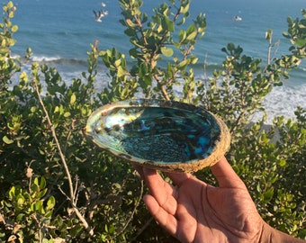 Large Abalone Shell (6-7") - Iridescent Smudging Bowl & Decor