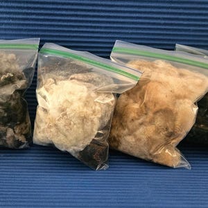 May include: Four clear plastic bags filled with different colored wool fibers. The colors include shades of gray, cream, tan, and black. The bags are sealed with green zipper closures, and are arranged on a blue surface.