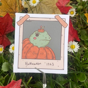 Pegatina de rana calabaza