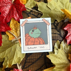 Pegatina de rana calabaza