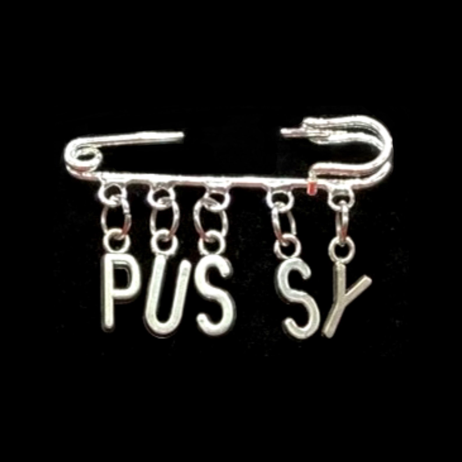 Pussy Safety Pin Brooch Gay Lesbian Pride Clip Punk Alt Edgy Etsy 