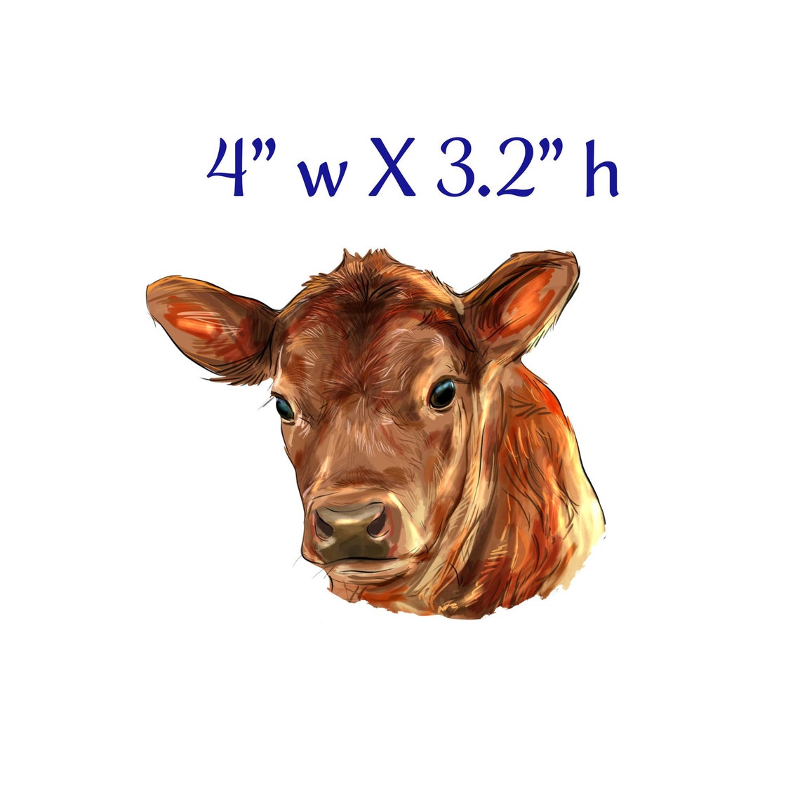 Red Angus Calf Stickers, Outdoor or Indoor Use Trailers, Tack Boxes ...