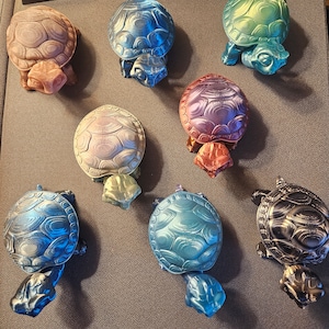 Mystery Color Turtle Box