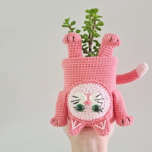 May include: A pink crocheted cat planter with green eyes and a white nose. A small green succulent plant is growing inside the planter.