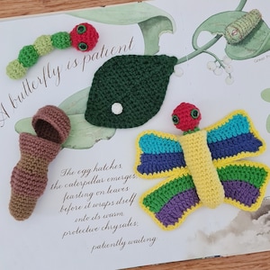 May include: A collection of crocheted toys representing a butterfly's life cycle: a caterpillar, leaf, chrysalis, and a colourful butterfly. The toys are arranged on a book page with text about the butterfly's life.