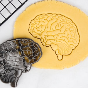 Puede incluir: Un cortador de galletas de metal con forma de cerebro humano, con una impresión de masa de galleta amarilla con forma de cerebro.