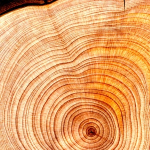 Premium Sandalwood oil Co2 Extracted - Santalum Album - Indonesia