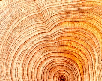 Premium Sandalwood oil Co2 Extracted - Santalum Album - Indonesia