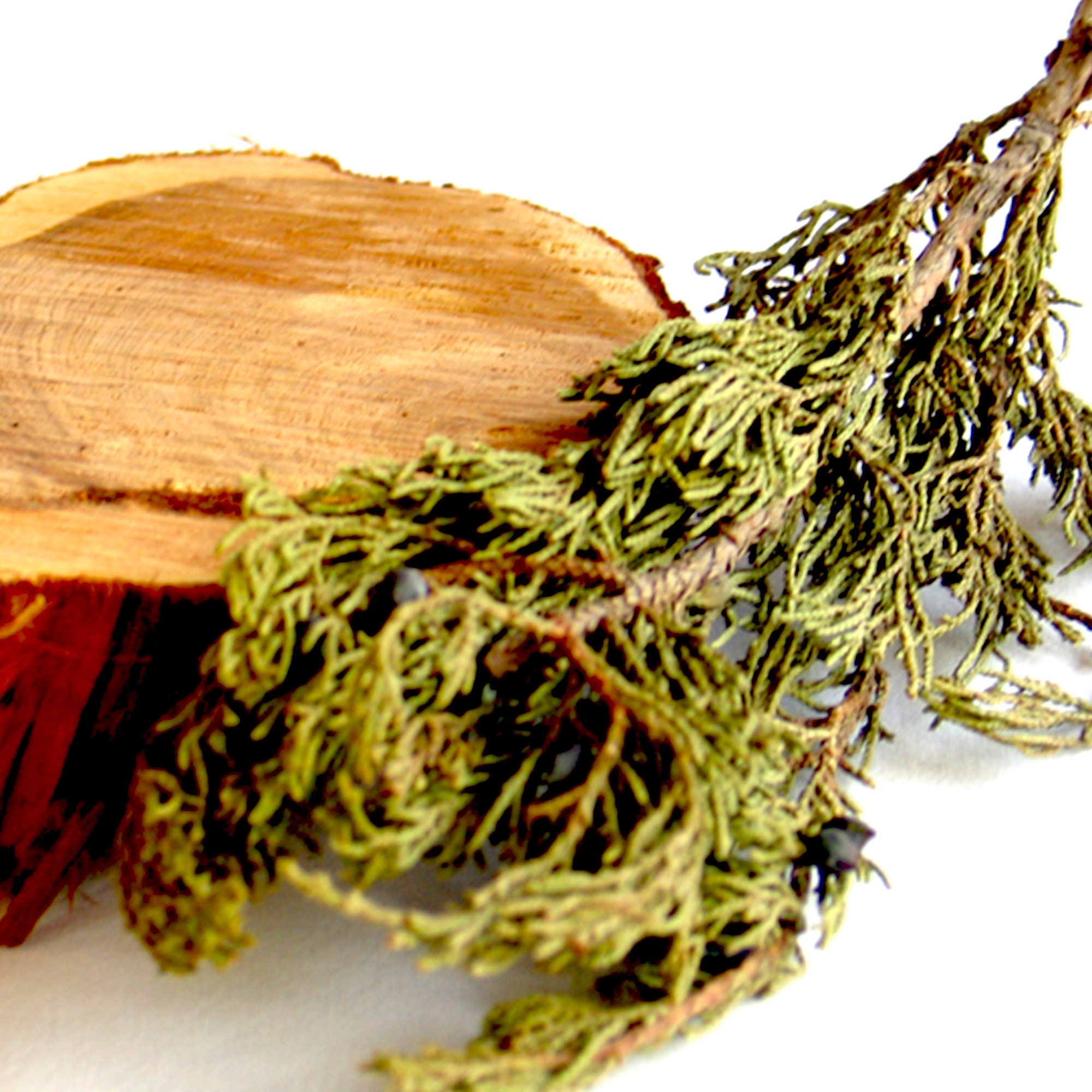 Cedarwood Virginia Essential oil - Juniperus virginiana L - USA