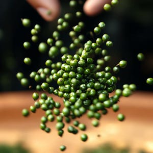 Op de afbeelding: Close-up van verse groene peperkorrels in de lucht. De peperkorrels zijn heldergroen, rond en gegroepeerd. De achtergrond is wazig, waardoor de peperkorrels worden benadrukt. De afbeelding suggereert verse ingrediënten voor het koken.