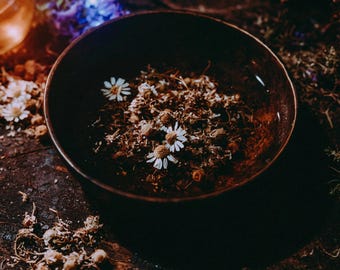 Può includere: Una ciotola in ceramica marrone scuro riempita di fiori di camomilla essiccati. La ciotola contiene una miscela di piccole materie vegetali erbacee marroni e diversi fiori di camomilla bianchi con centri gialli.